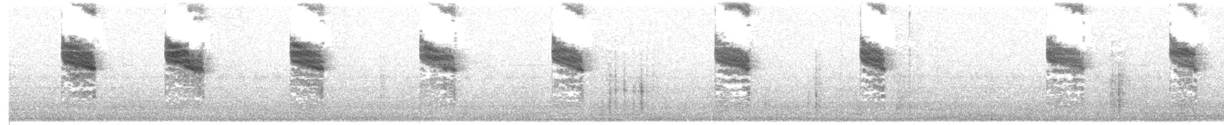 gråfluesnapper (tyrrhenica/balearica) (tyrrenfluesnapper) - ML204027461