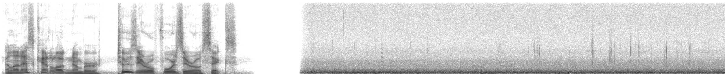 White-breasted Nuthatch - ML20406