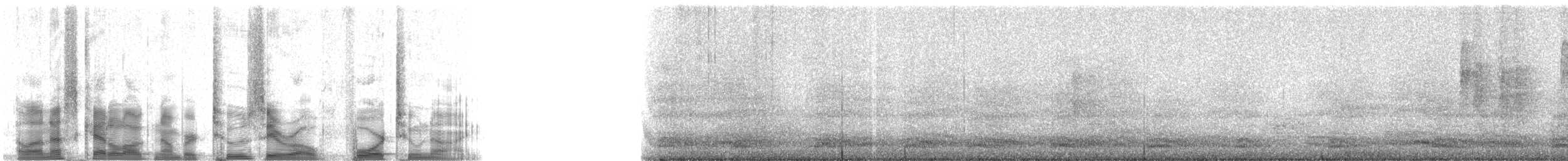 American Crow - ML20429