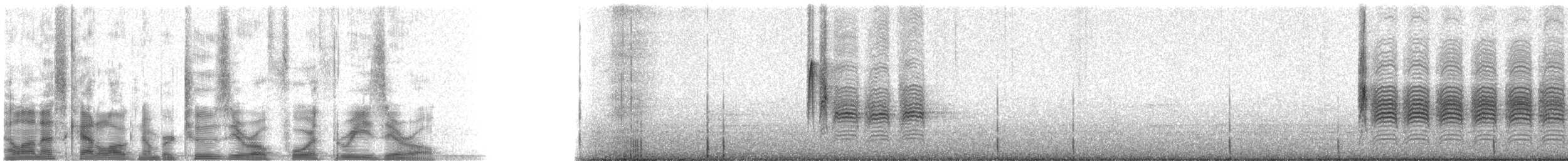 Black-capped Chickadee - ML20430