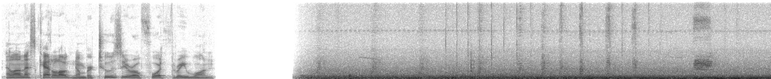 Eastern Gray Squirrel - ML20431