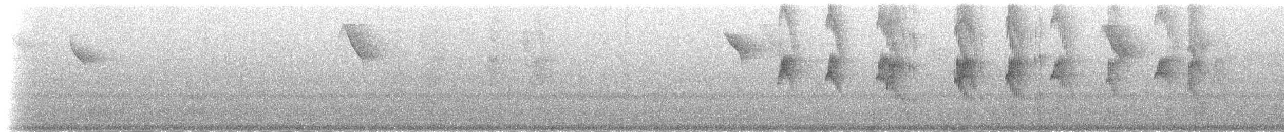 svartnebbstrimmelstjert - ML204456
