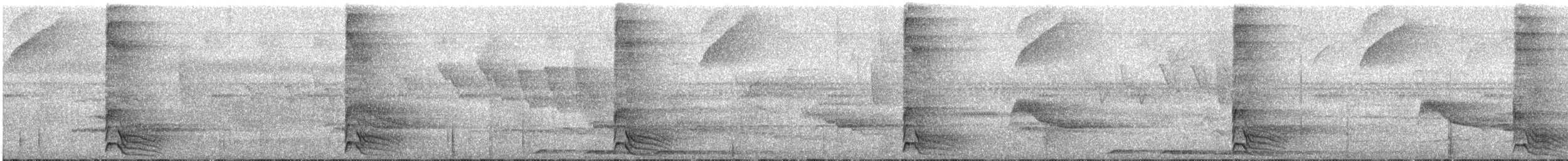 Rothalsspecht - ML20445801