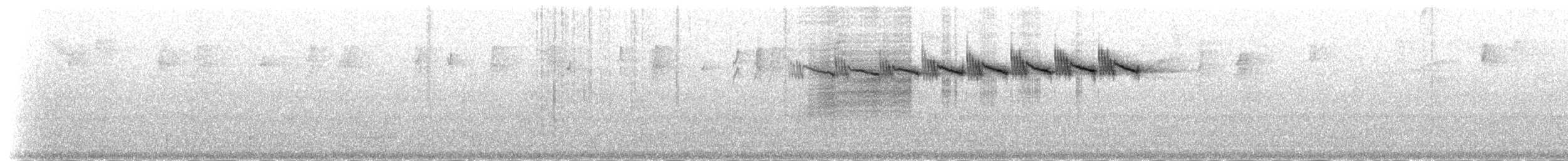 banansmett (flaveola gr.) - ML204460