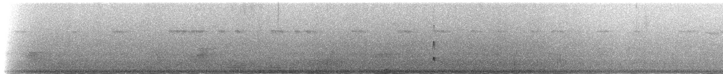 Tyran triste - ML204462