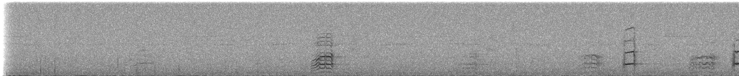 Black-billed/Yellow-billed Amazon - ML204500