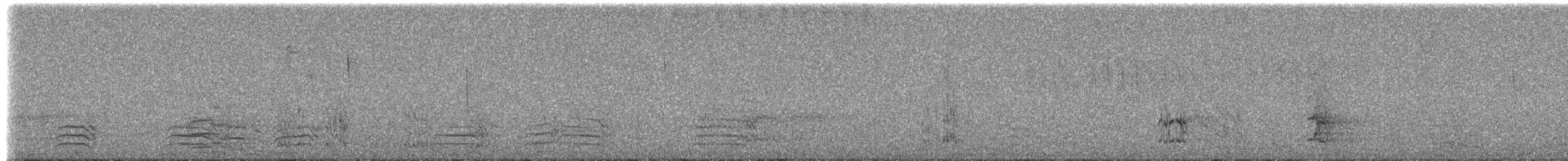 parrot sp. - ML204505