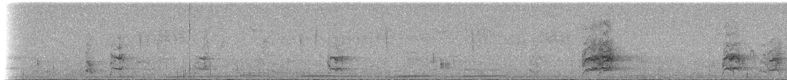 parrot sp. - ML204506