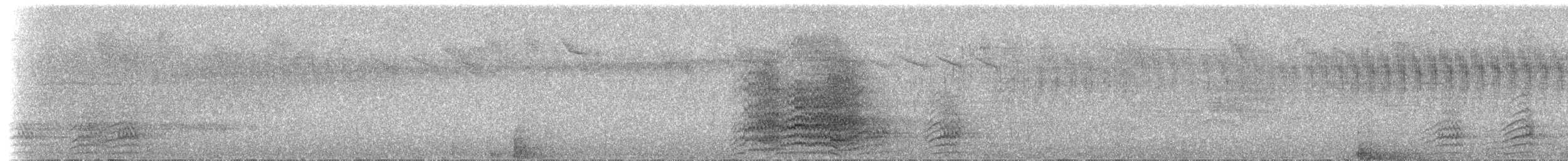 Black-billed/Yellow-billed Amazon - ML204508