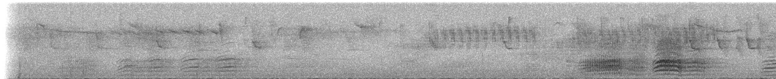 Black-billed/Yellow-billed Amazon - ML204509