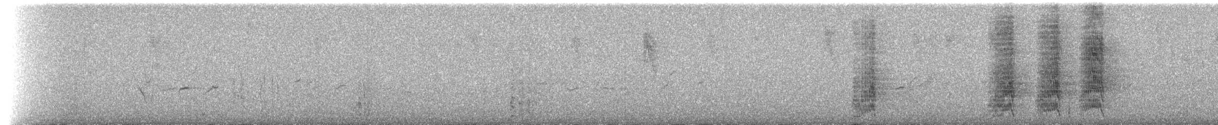 オウム目（インコ科 大きな種） - ML204515