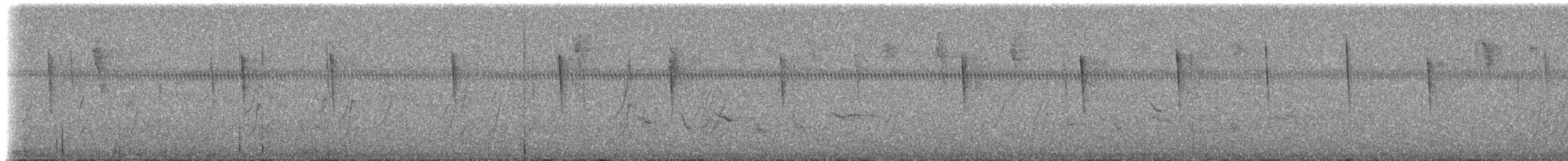 Cave Swallow (Caribbean) - ML204516