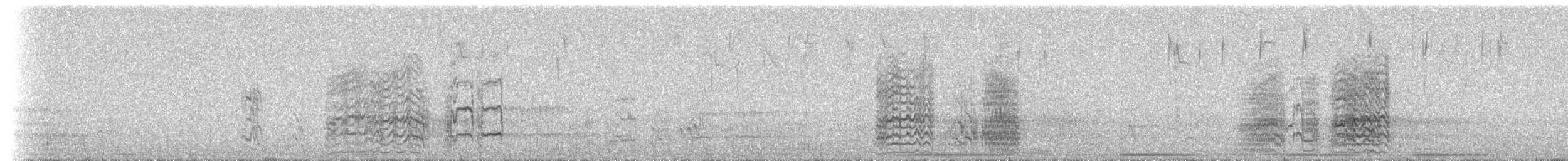 Yellow-billed Amazon - ML204519