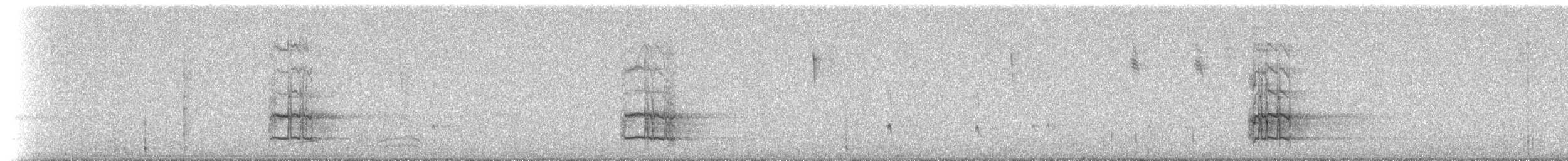 Olive-throated Parakeet (Jamaican) - ML204522