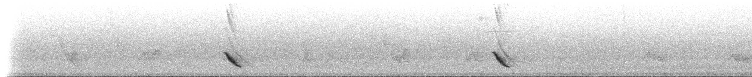 Дрізд-короткодзьоб бурий - ML204577