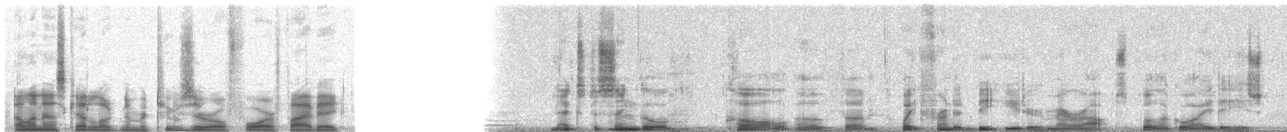 Weißstirnspint - ML20458