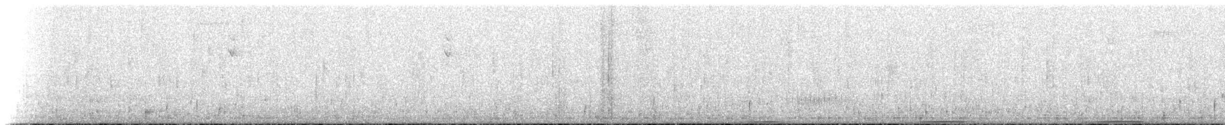 holub pruhoocasý [skupina albilinea] - ML204633