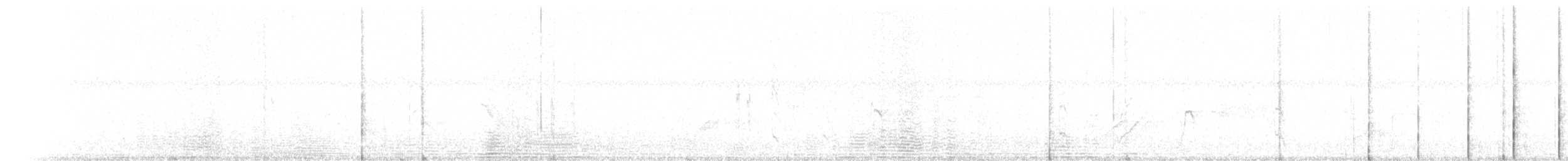 albatros pestrozobý - ML204742