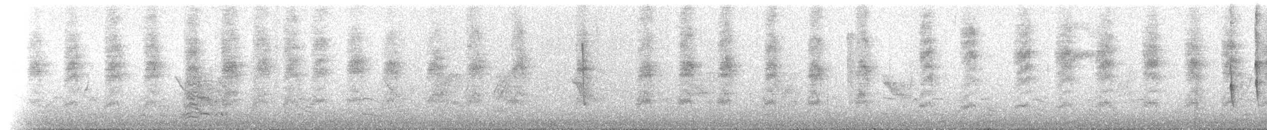 Spitzschnabel-Ammertangare - ML204752