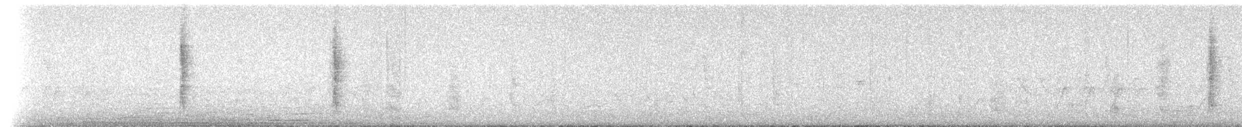 Zorzal de Tristán Da Cunha - ML204767