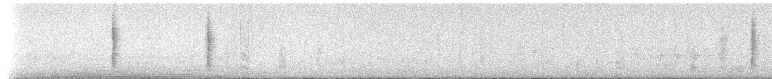 Tristan Thrush - ML204767