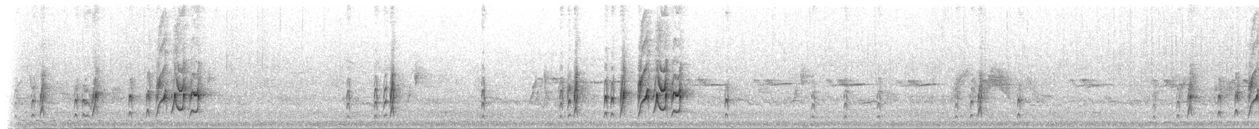 Schmalschnabel-Königstyrann - ML204802