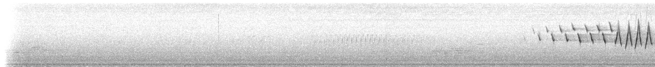 Червоїд сіроголовий (підвид ridgwayi) - ML204811
