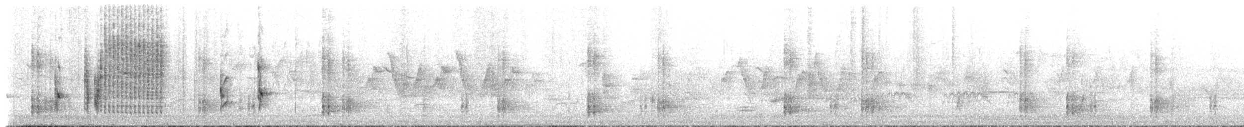 Bataklık Çıtkuşu [plesius grubu] - ML204818