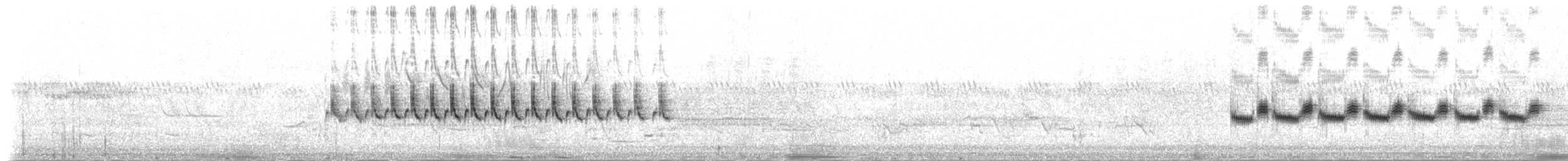steinursmett (obsoletus gr.) - ML204819