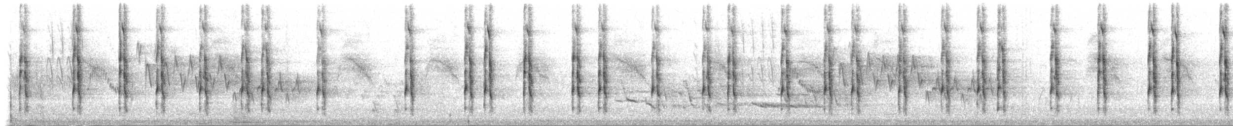 Blutgesichtspecht - ML204820