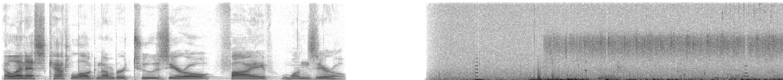 Salangane à croupion blanc - ML20510