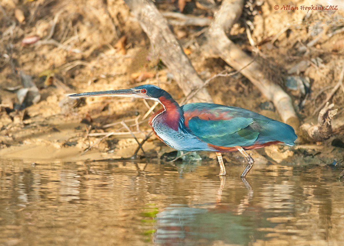 Garza Agamí - ML205269161