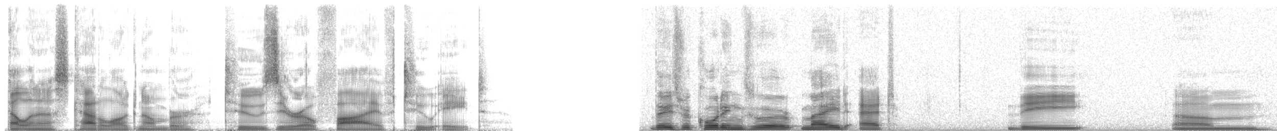 Galapagos Petrel - ML20528