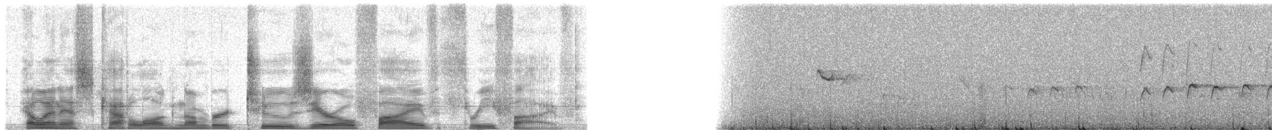 Black-headed Honeyeater - ML20535