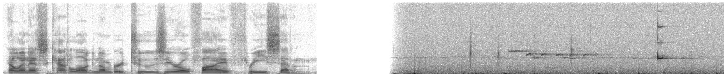 Bell Miner - ML20537