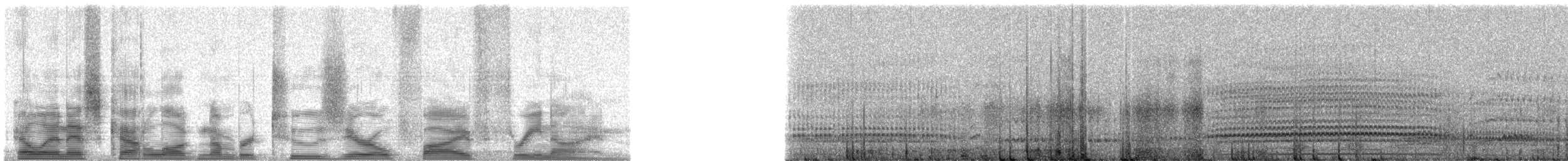 Little Penguin - ML20539