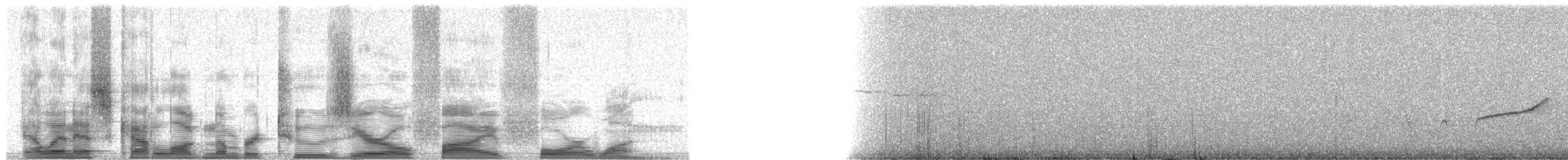 Southern Scrub-Robin - ML20541