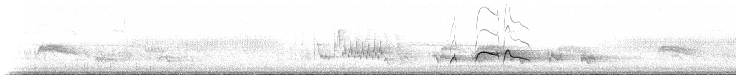 Boreal Sinekkapan - ML205417
