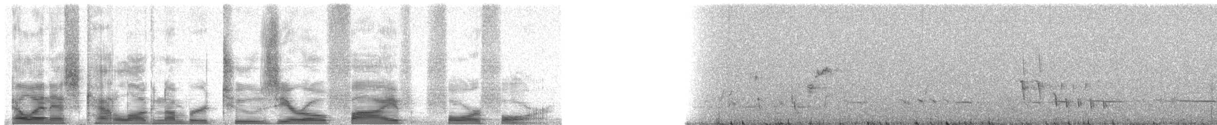 White-fronted Honeyeater - ML20544