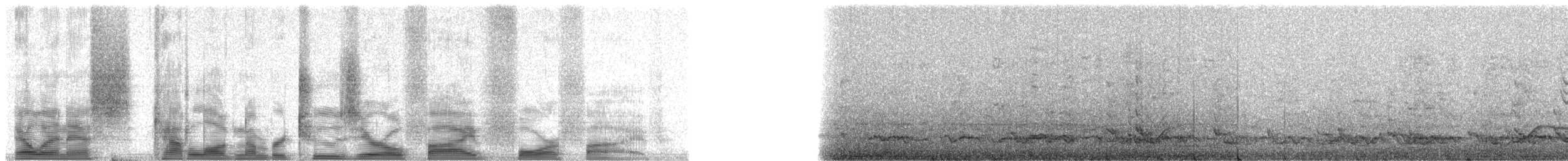 Pied Currawong - ML20545