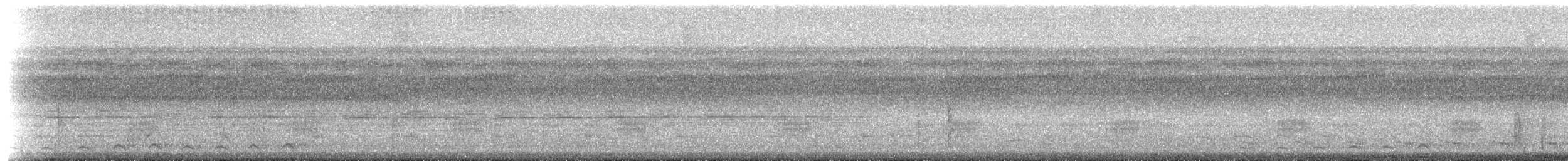 Trogon à queue blanche - ML205508