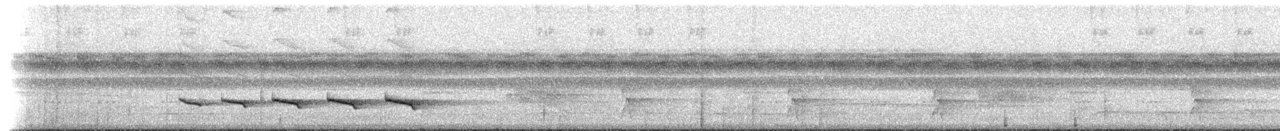 Schwarzscheitel-Ameisenvogel (rufifrons/subcristata) - ML205515