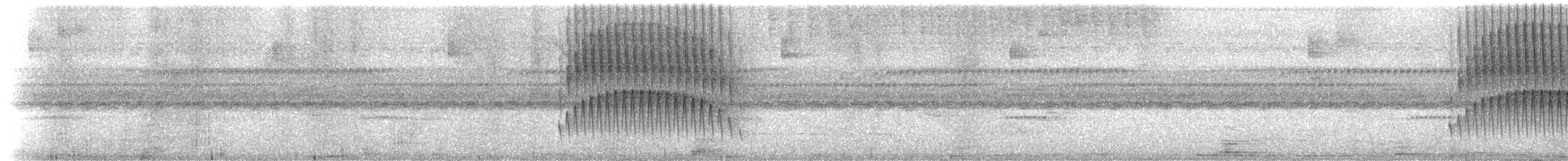 Olivaceous Woodcreeper - ML205548