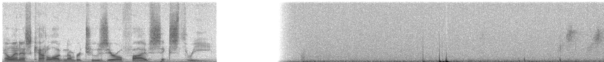 Melanesian Flycatcher - ML20563