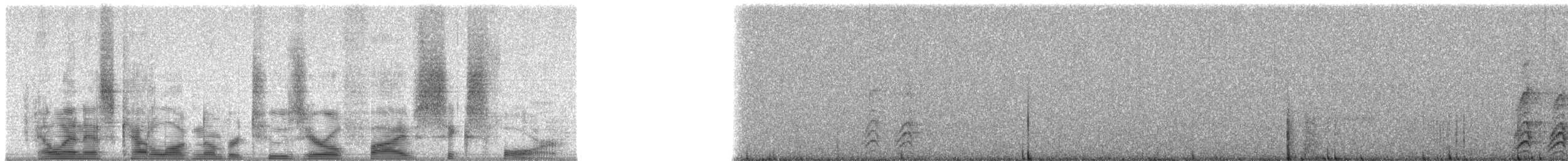 New Caledonian Crow - ML20564