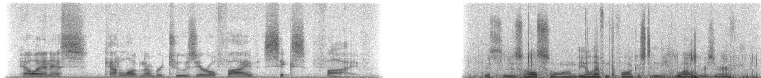 South Melanesian Cuckooshrike - ML20565