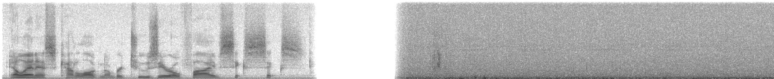 New Caledonian Imperial-Pigeon - ML20566