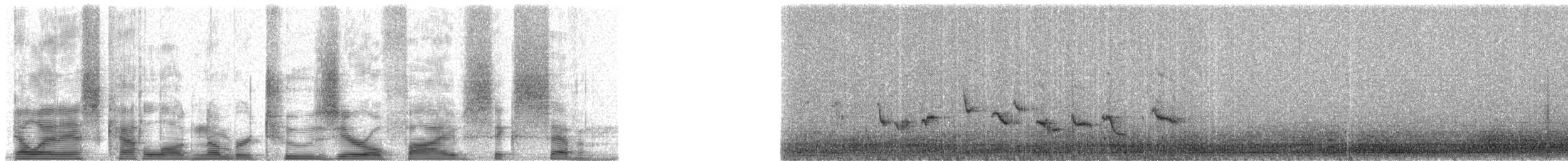 Eurasian Blackcap - ML20567