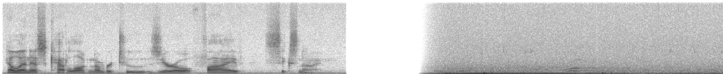 Eurasian Blackbird - ML20569