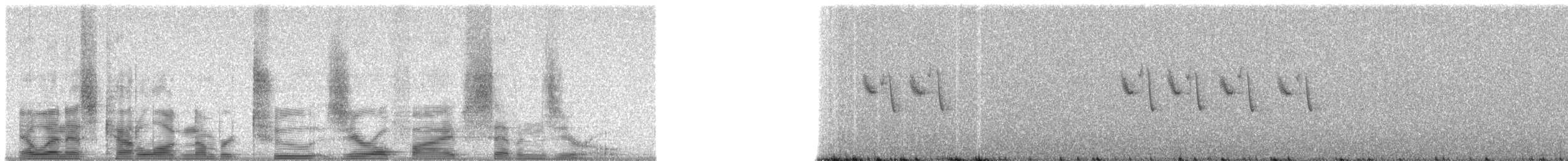 Eurasian Blue Tit - ML20570